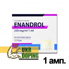 Testosterona E (Enandrol-250)